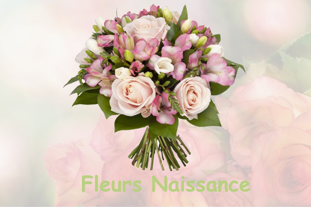 fleurs naissance BERGOUEY-VIELLENAVE